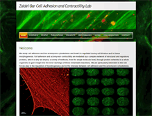 Tablet Screenshot of celladhesionlab.com